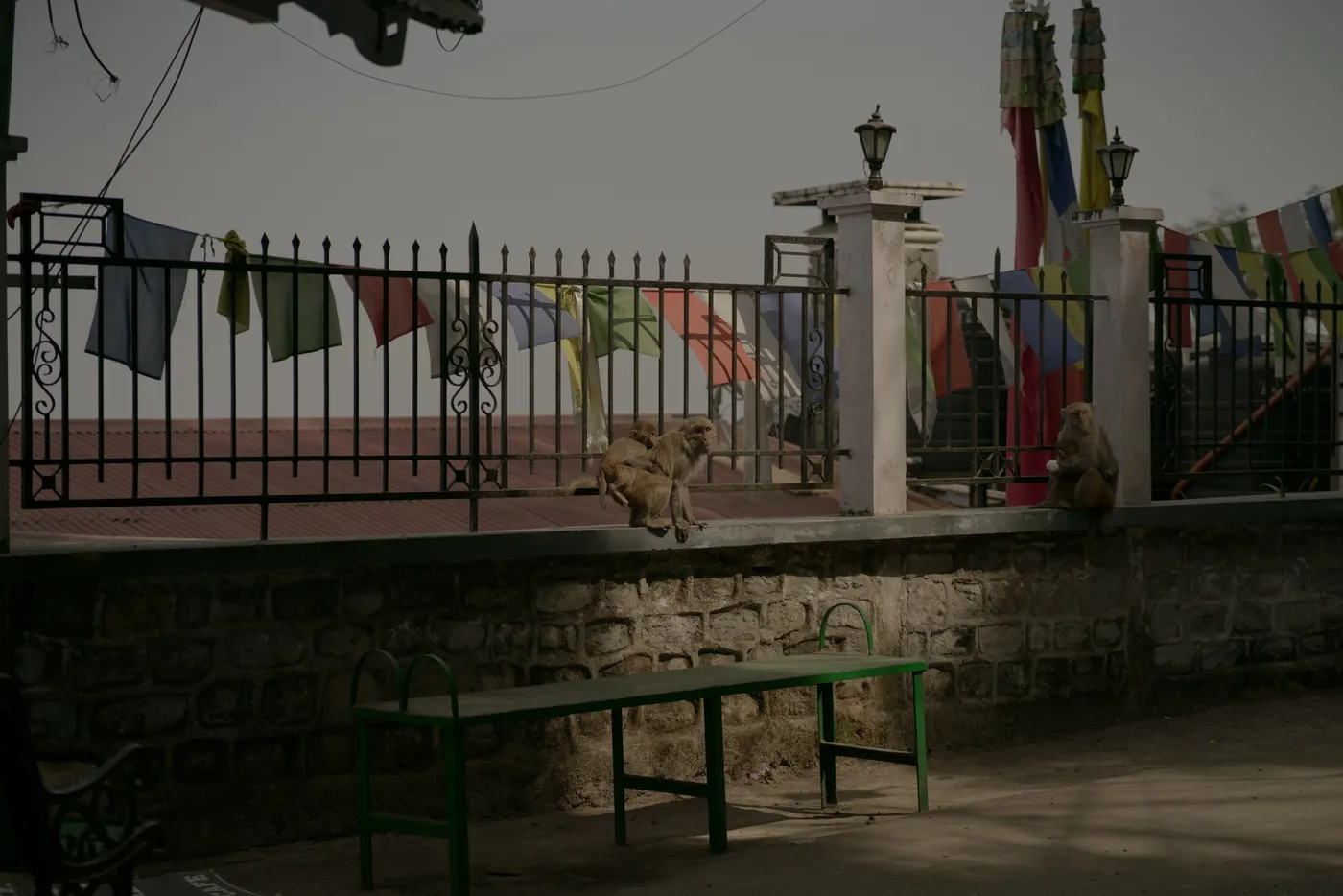 These guys are not very chill.